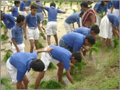Asim Academy