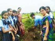 Asim Academy